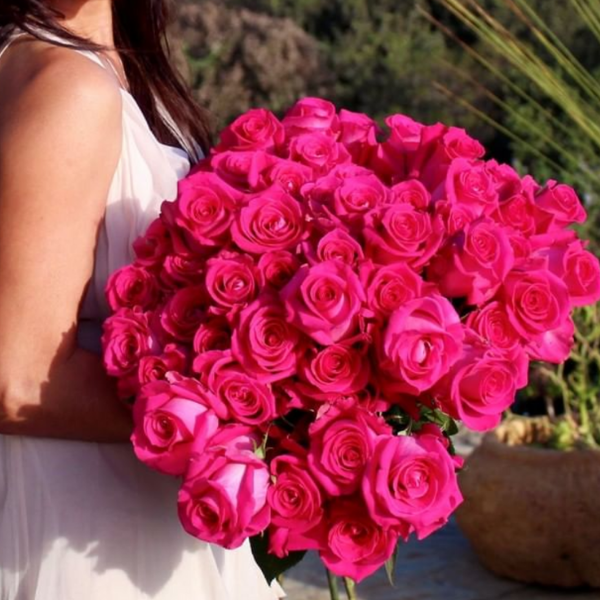 Buy Hot Pink Long Stem Roses – Rose Farmers