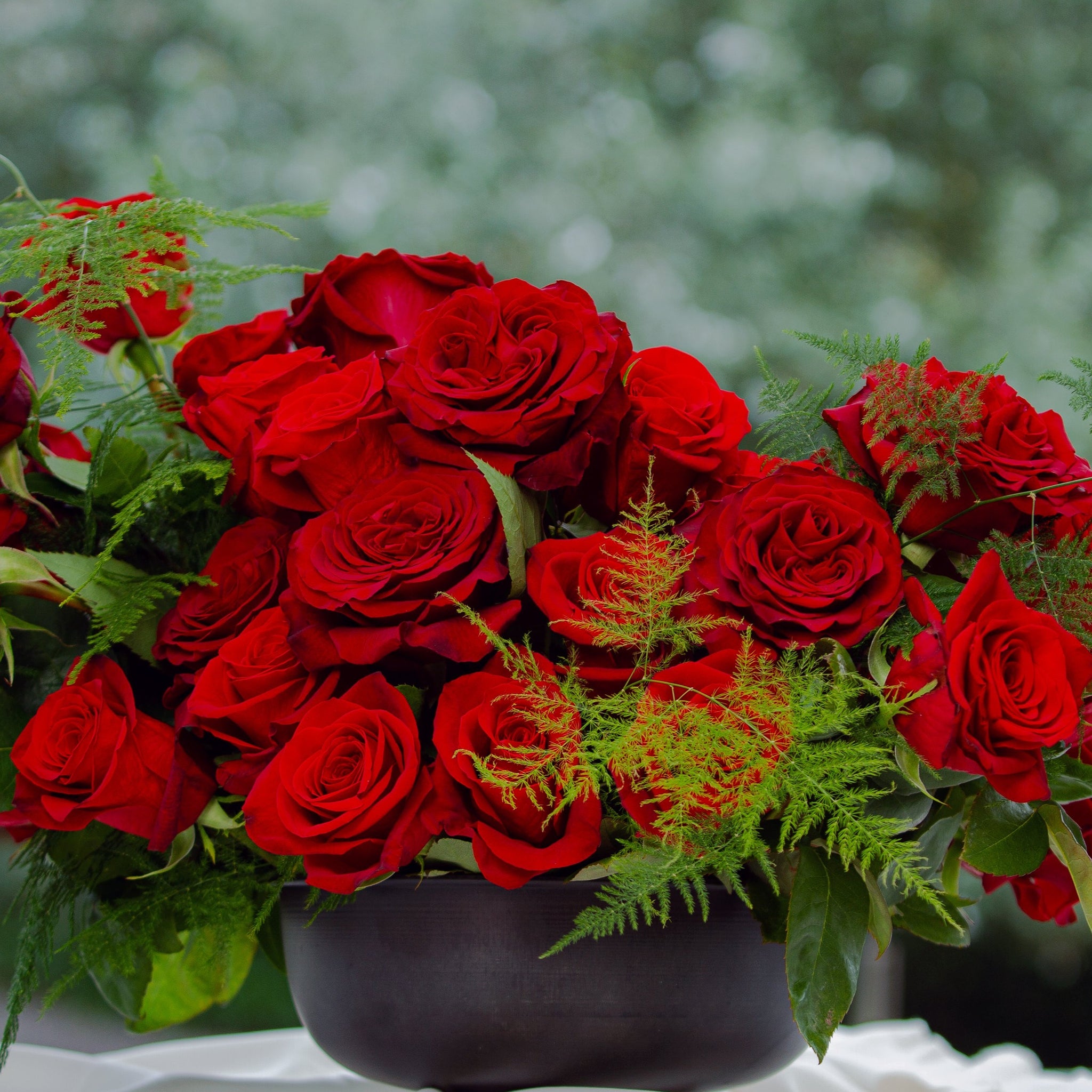 Buy Red Romantic Roses – Rose Farmers