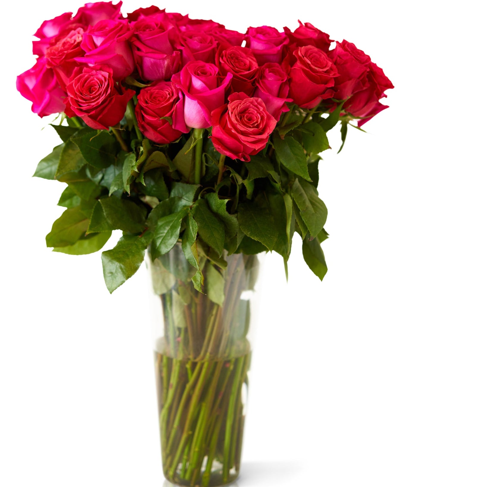 Hot Pick Roses Buy Hot Pink Long Stem Roses – Rose Farmers