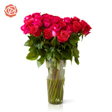 hot pink roses in a glass vase 
