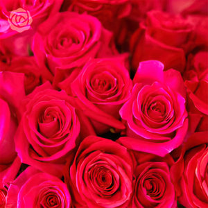 stacked hot pink roses