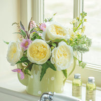Patience by David Austin Roses (Add On)