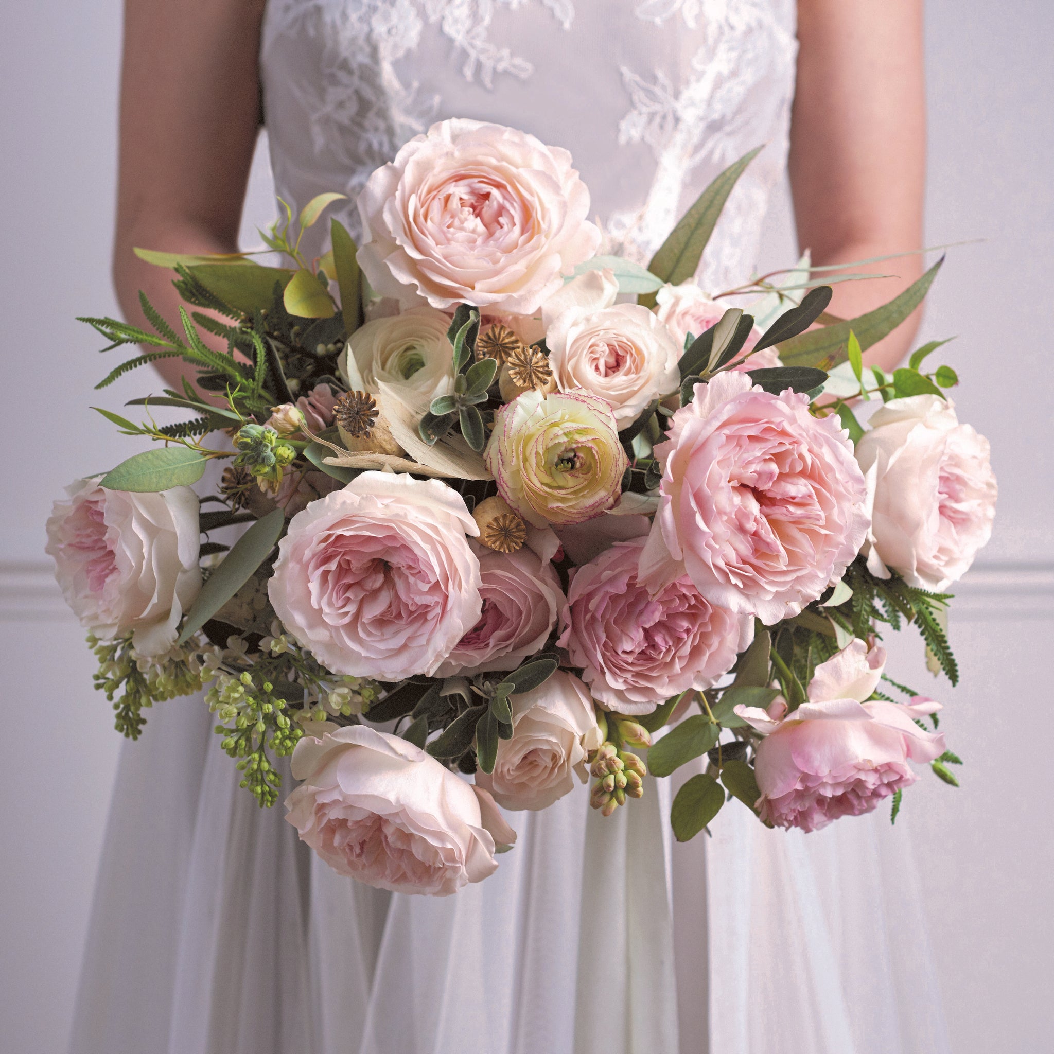 Keira by David Austin Roses
