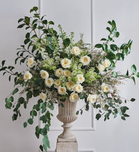 Patience by David Austin Roses (Add On)