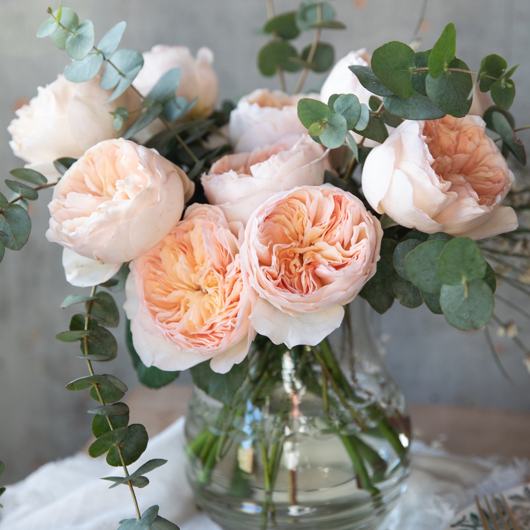 juliet rose seeds David Austin Juliet Peach Roses – Rose Farmers