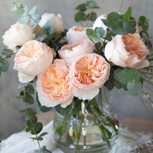 Glass vase arrangement a bouquet of Juliet roses with a distinctive full cupped rose with voluminous petals, that ombré beautifully from soft peach to warm apricot.