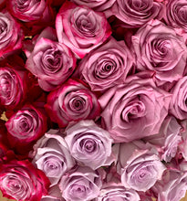 Close up of stacked Magenta and Lavender Bi-Colored roses
