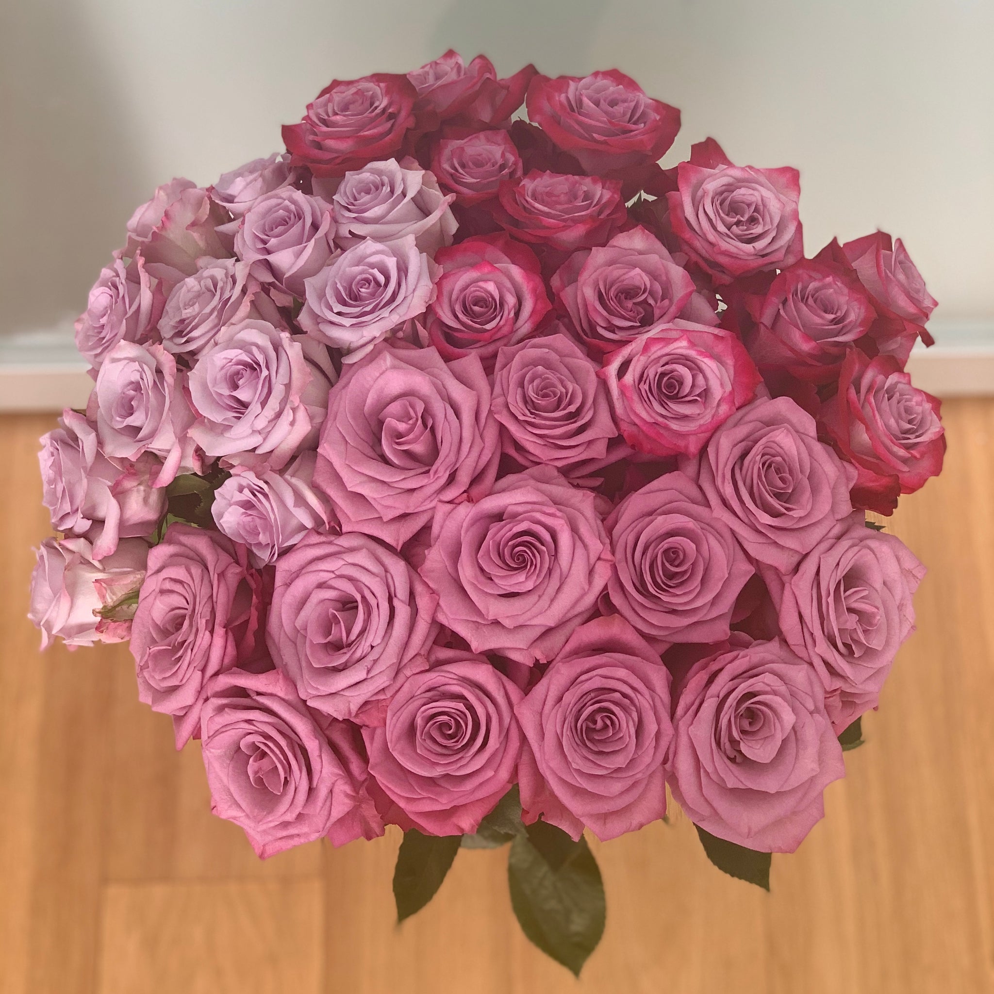 Buy Purple Bi-Color Stunner Long Stem Roses – Rose Farmers