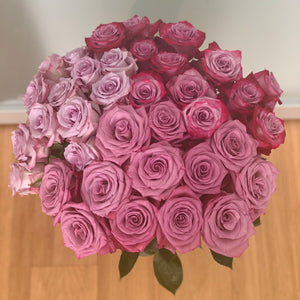 Close up bouquet of Magenta and Lavender Bi-Colored roses