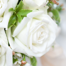 White Pure Long Stem Roses
