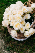 White Sympathy Bouquet

