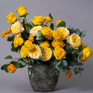 Yellow Bright Long Stem Roses