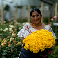 Yellow Bright Long Stem Roses