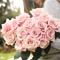Pink Passion Long Stem Roses