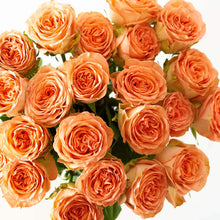 Close up of bouquet of Bouquet of Orange Citrus Long Stem Roses
