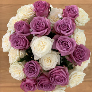 24 Cream & Lavender Long Stem Roses