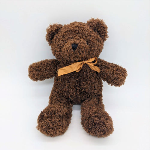 Dark brown teddy against a white background