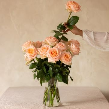 Rose Farmers | Farm Fresh Roses | Buy Quality Roses Direct