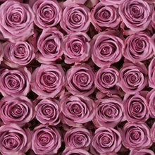 stacked Purple Attraction Long Stem Roses have a hint of lavender in the center
