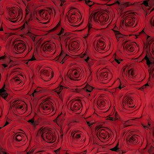 Stacked display of red rose blooms