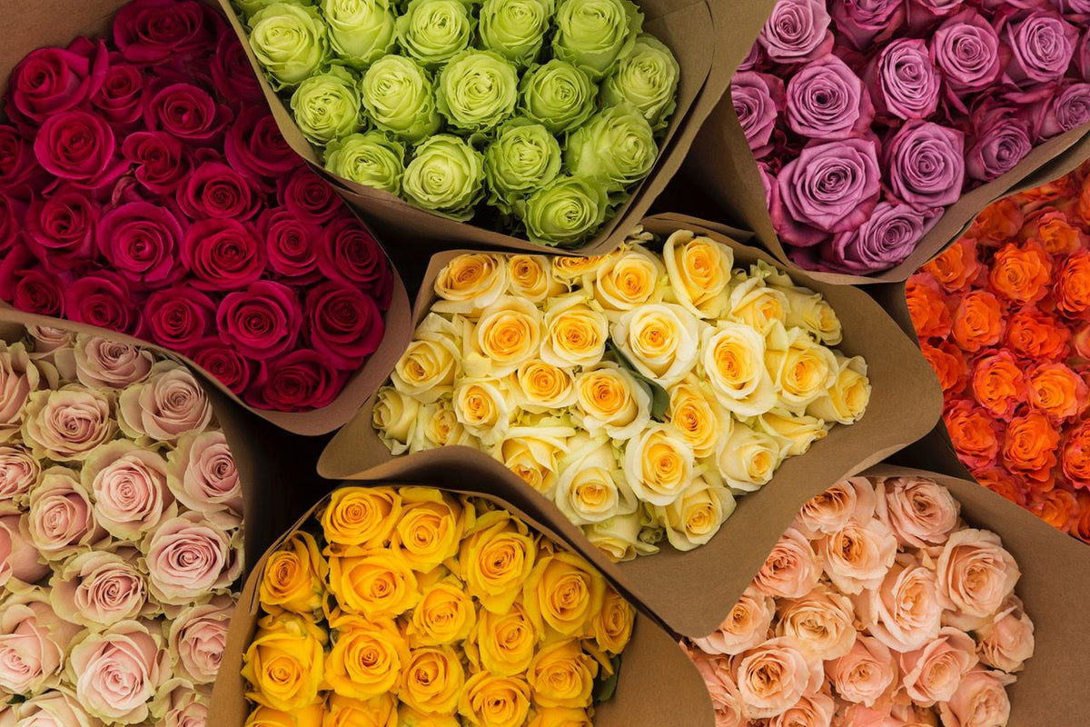 Farmer's Choice 24 Roses Plus Vase (Exclusive Bouquet) – Rose Farmers