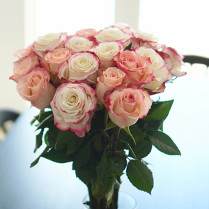 Farmer's Choice Bi-Color Pastel Long Stem Roses