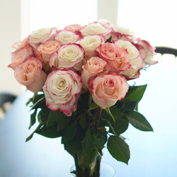 Assorted Bi-Color Long Stem Roses