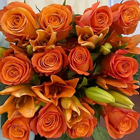 Rose Farmers | Farm Fresh Roses | Buy Quality Roses Direct