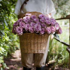 Farmer's Choice 24 Roses Plus Vase (Exclusive Bouquet)