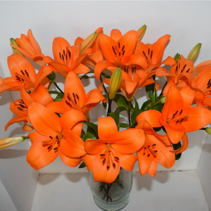 vase of vibrant orange lilies with multiple bulbs
