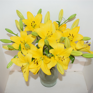 bright yellow lilies in a glass vase