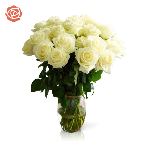 Checkers Roses Price Roses Subscription – Rose Farmers