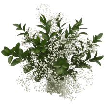 Baby's Breath & Ruscus Leaves
