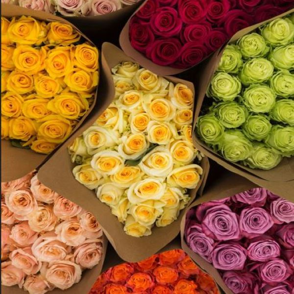 Choose Quantity and Color Roses