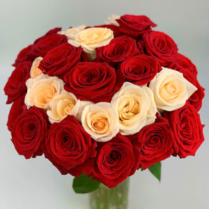 24 Red & Cream Luxury Long Stem Roses