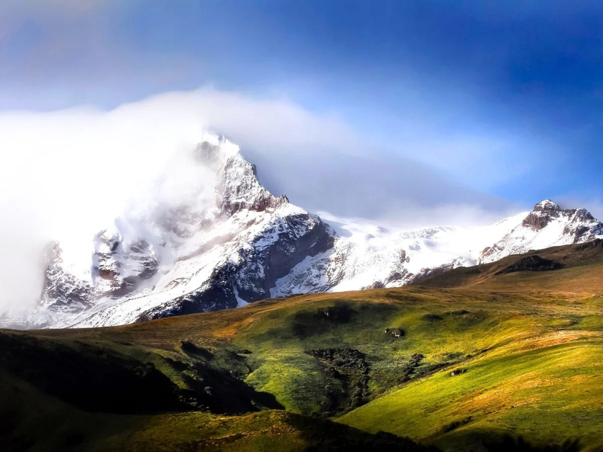 Rose farm in the Ecuadorian Andes